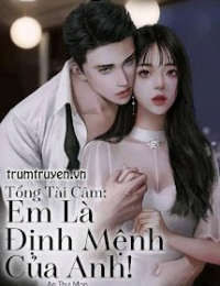 Tổng Tài Câm: Em Là Định Mệnh Của Anh - An Thư Mạn