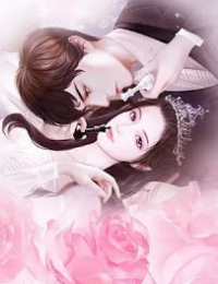 Tổng Tài Bao Nuôi : Nhân Tình Hay Chính Thất