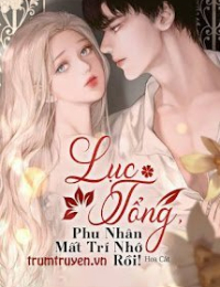 Lục Tổng, Phu Nhân Mất Trí Nhớ Rồi! - Lâm Huyền - Lục Ngạn