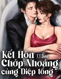 Kết Hôn Chớp Nhoáng Cùng Diệp Tổng