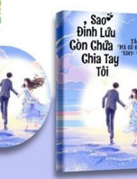 Sao Đỉnh Lưu Chưa Chia Tay Tôi
