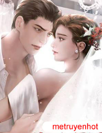 Giang Tổng Theo Đuổi Vợ Cũ - Lạc Nhan - Giang Quân Hạo