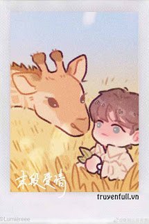 Truyện Tình cuối - Tống Diểu - Sở Thiệu Ngôn